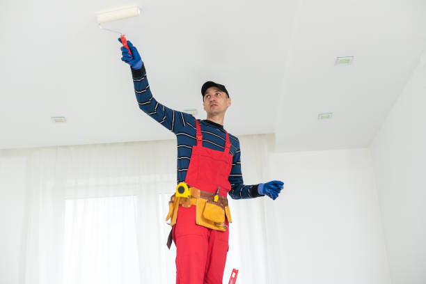 Best Mold Prevention Services  in USA